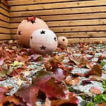 Altstadtpension Am Dom بيت ضيافة إرفورت