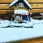 Altstadtpension Am Dom إرفورت