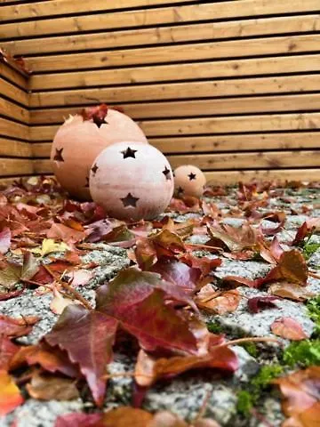 Altstadtpension Am Dom 게스트하우스 에르푸르트