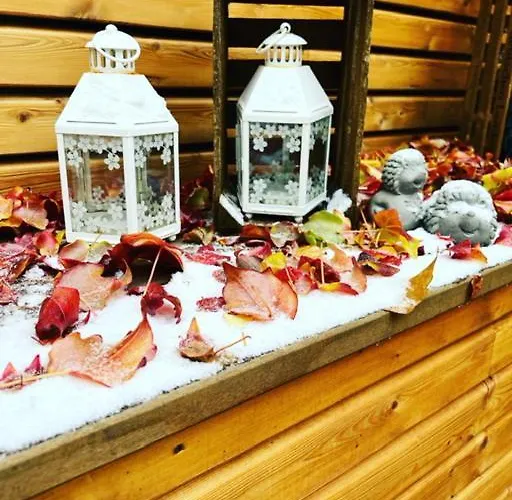 Affittacamere Altstadtpension Am Dom 3*