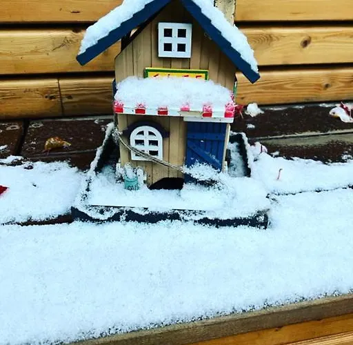 Altstadtpension Am Dom 에르푸르트